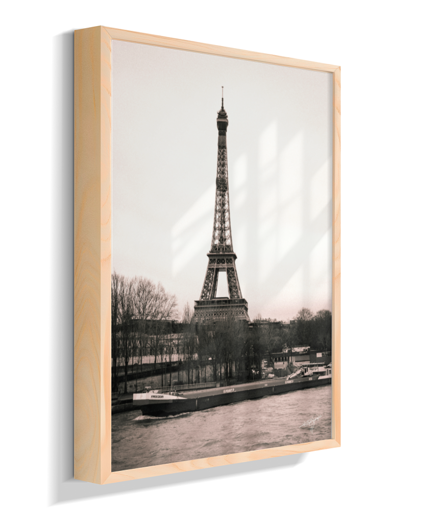 Old Paris Dream