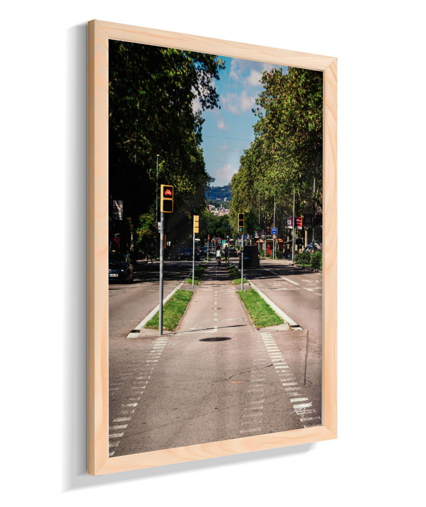 Barcelona Lane