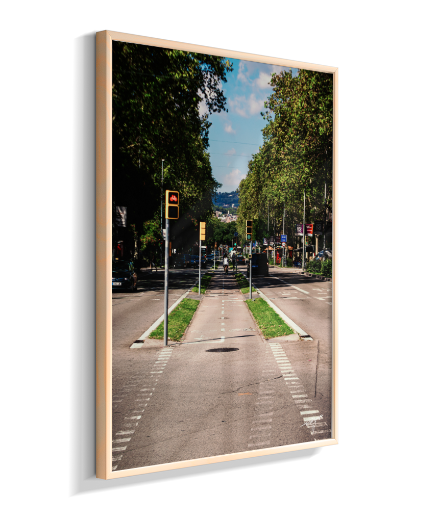 Barcelona Lane