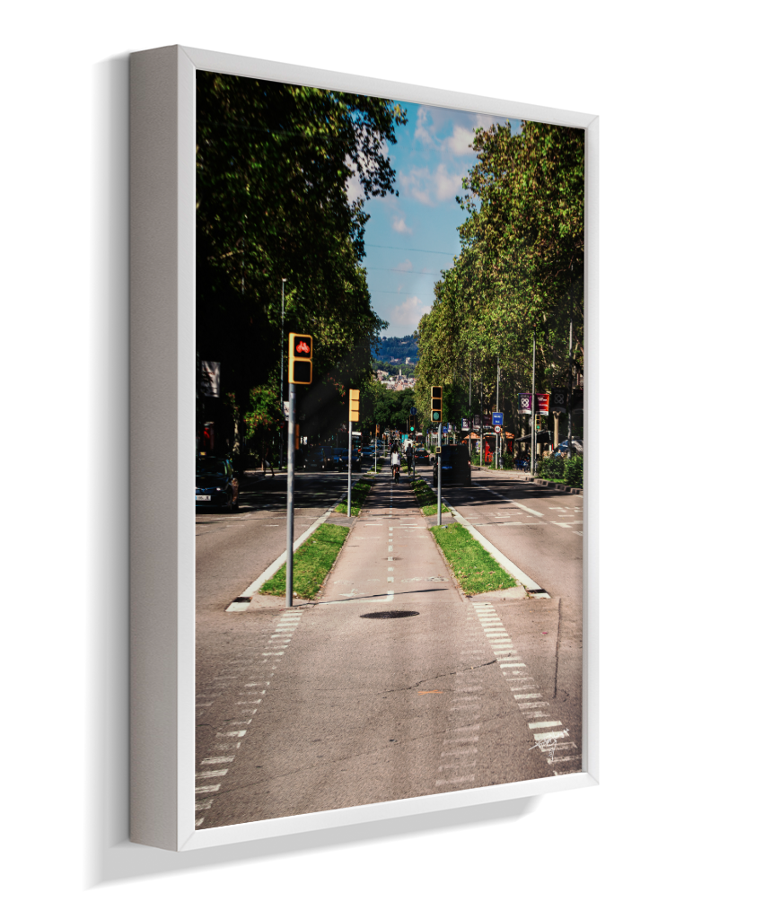 Barcelona Lane