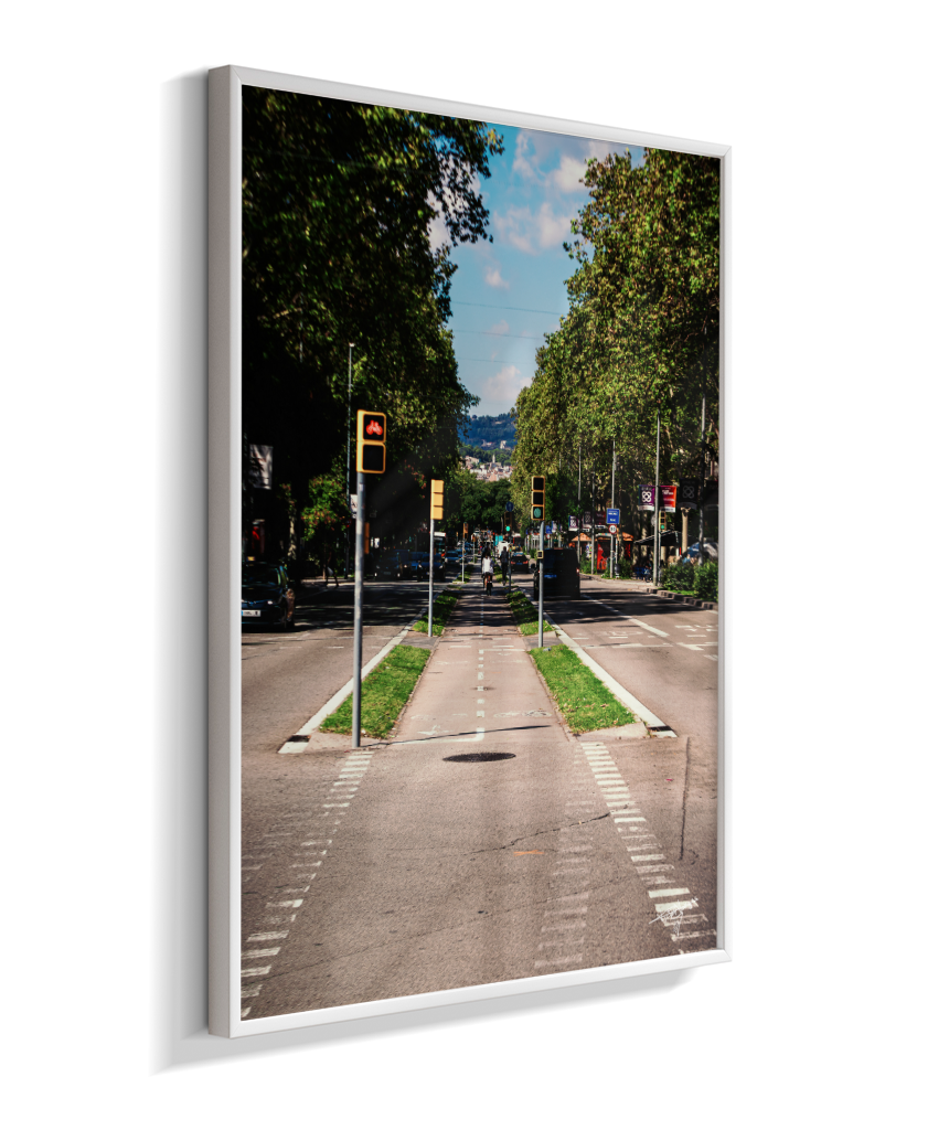 Barcelona Lane