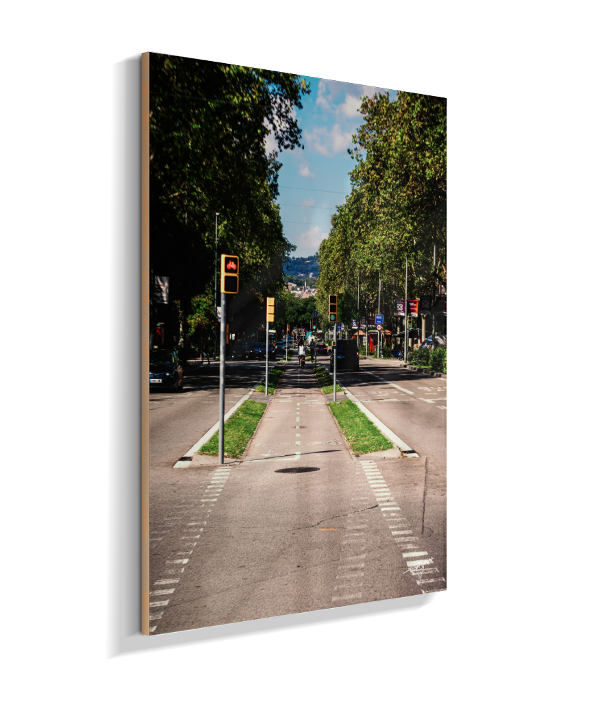 Barcelona Lane