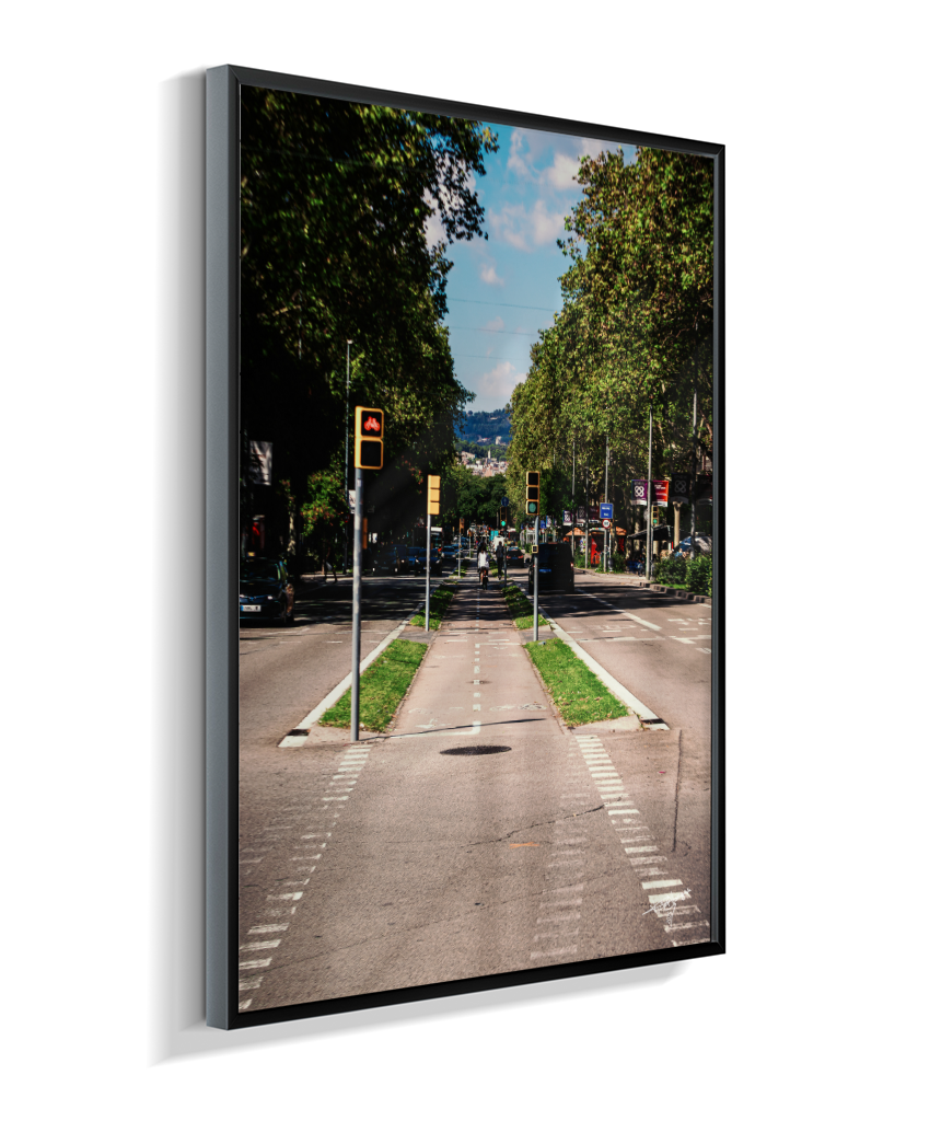 Barcelona Lane