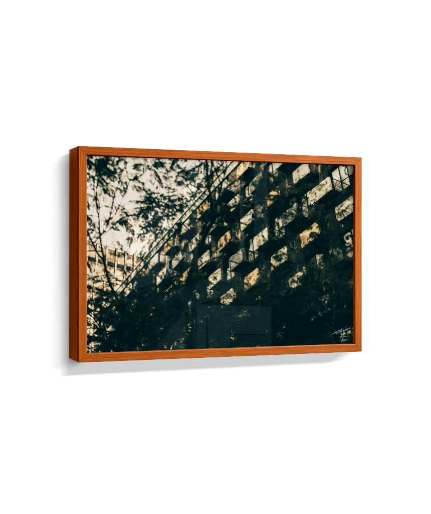Shadows in Sequence