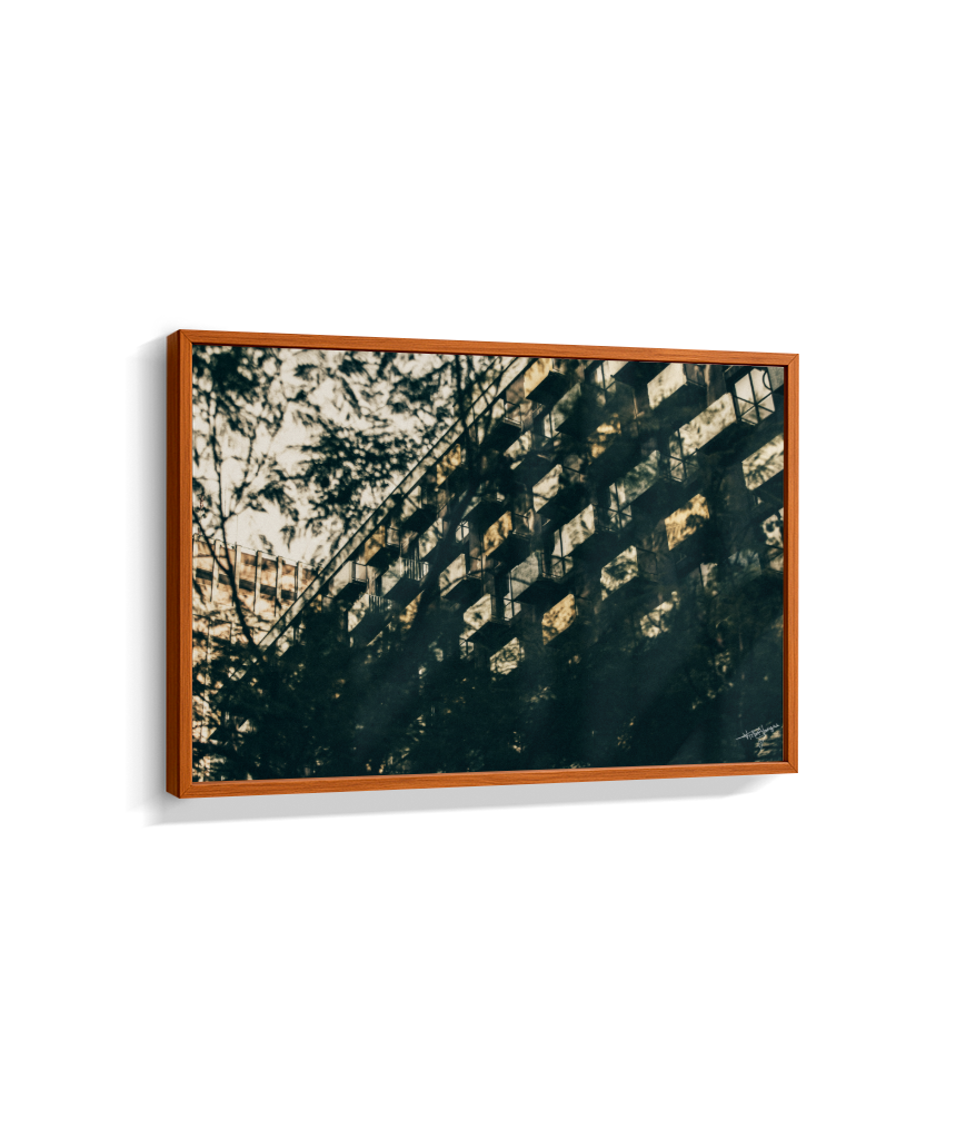 Shadows in Sequence