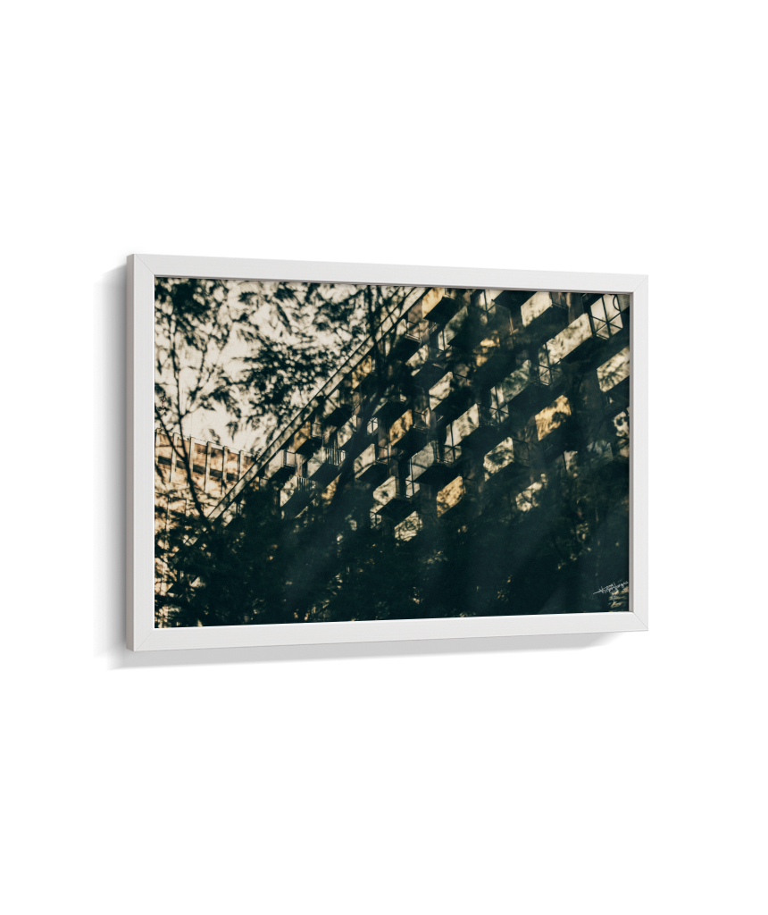 Shadows in Sequence