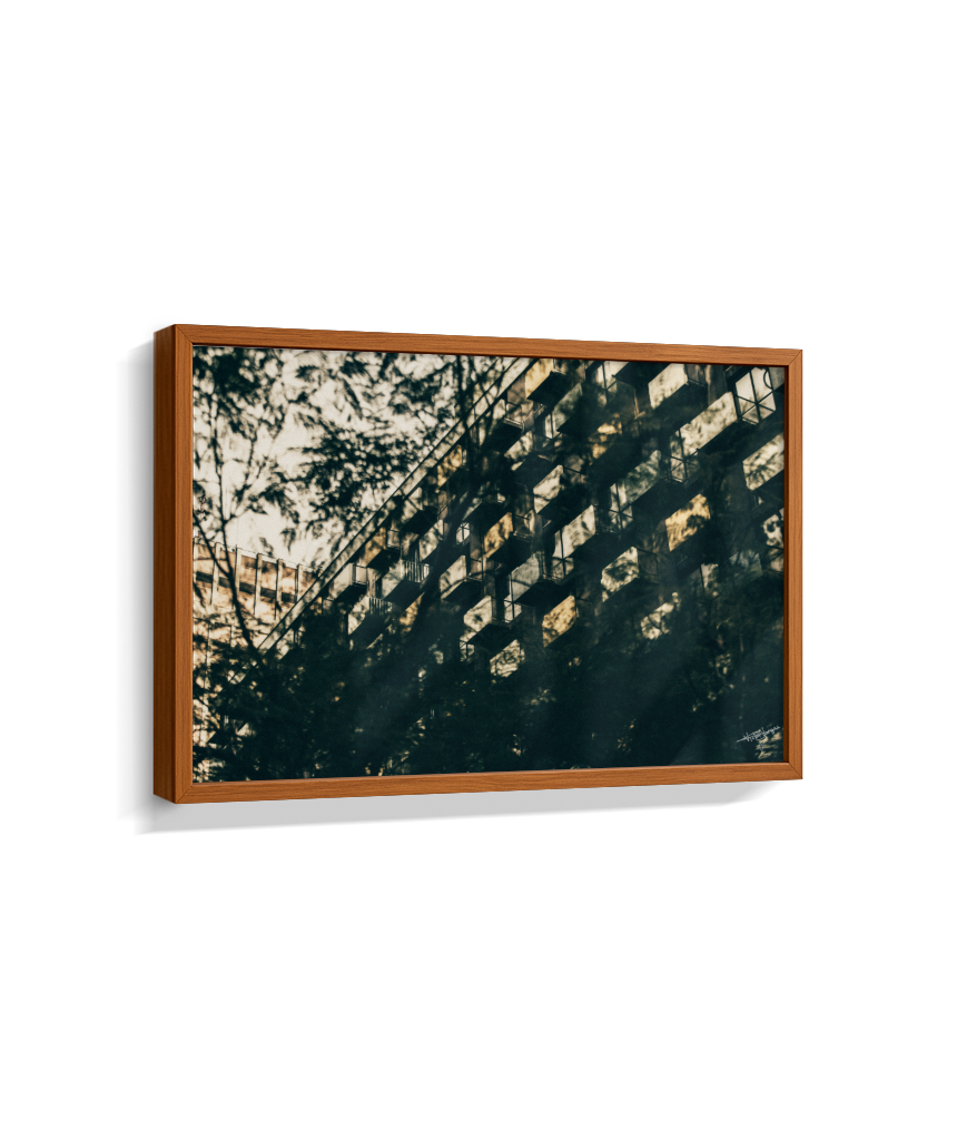 Shadows in Sequence