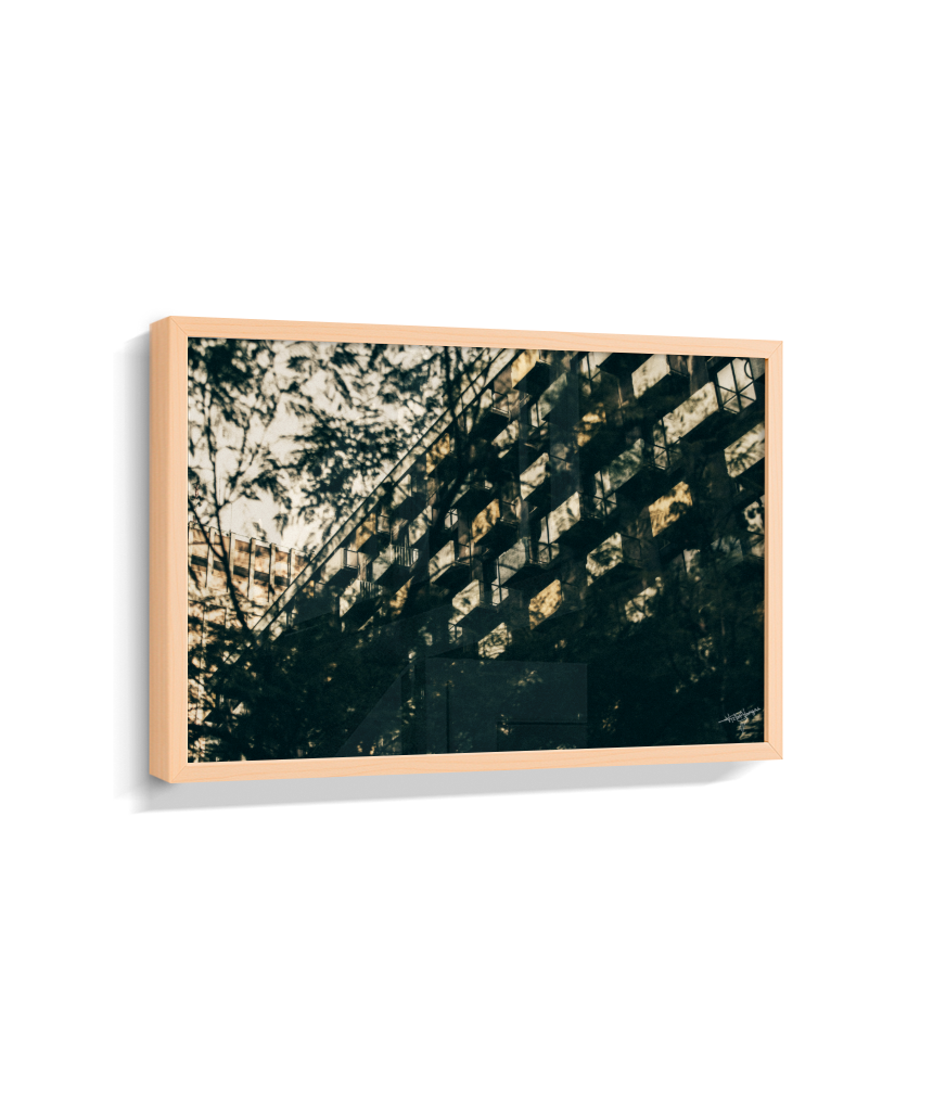 Shadows in Sequence