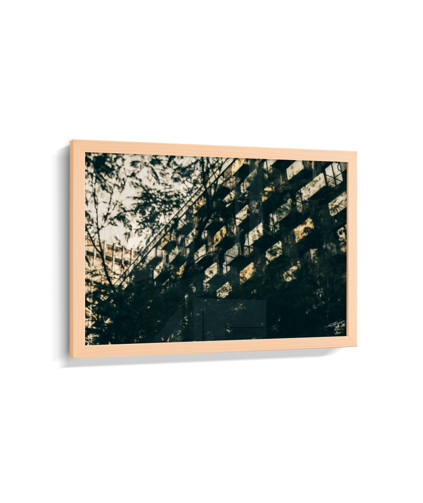 Shadows in Sequence
