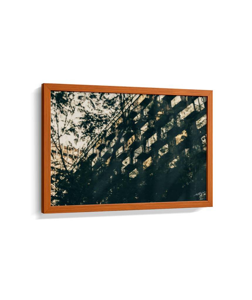 Shadows in Sequence
