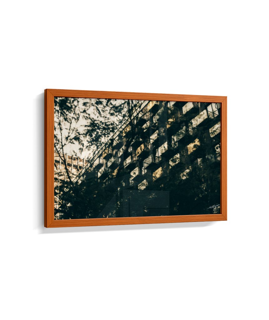Shadows in Sequence