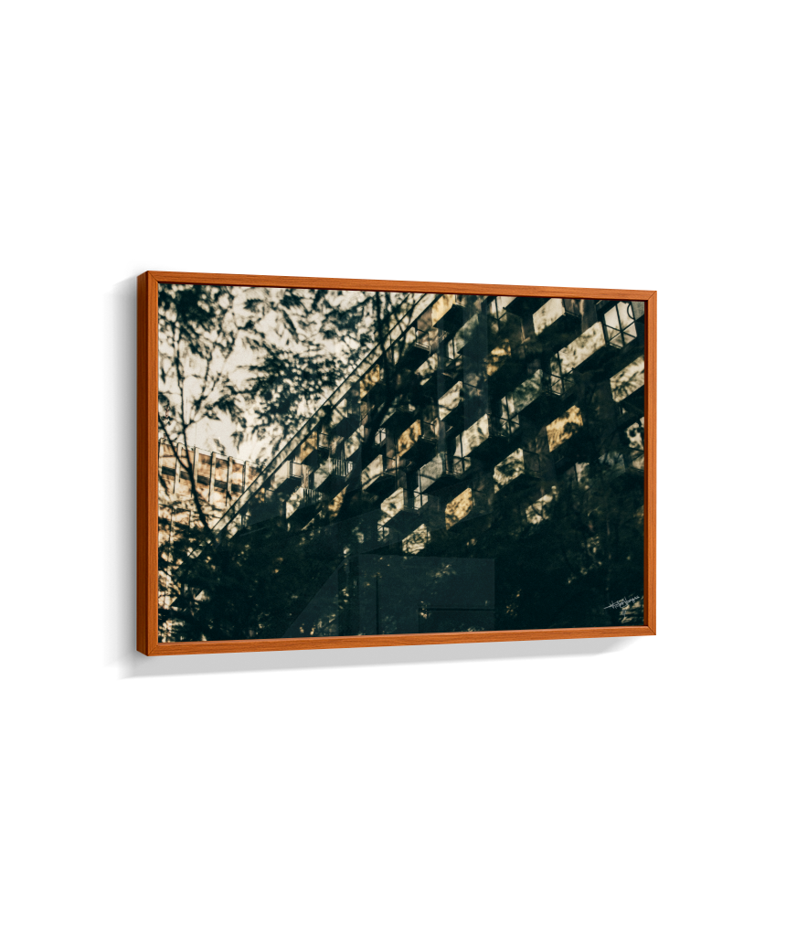 Shadows in Sequence