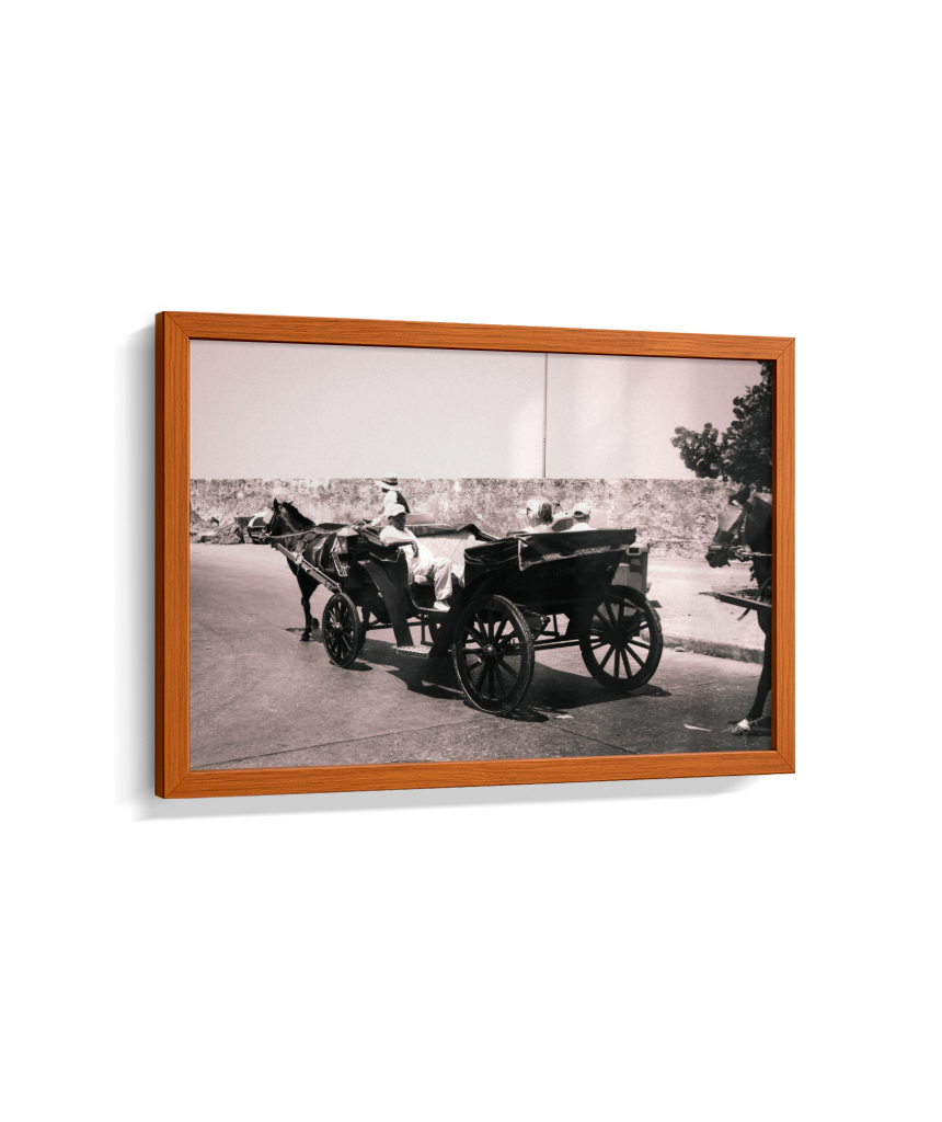 Carriage Through Time