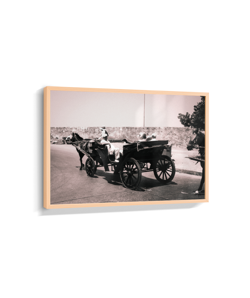 Carriage Through Time