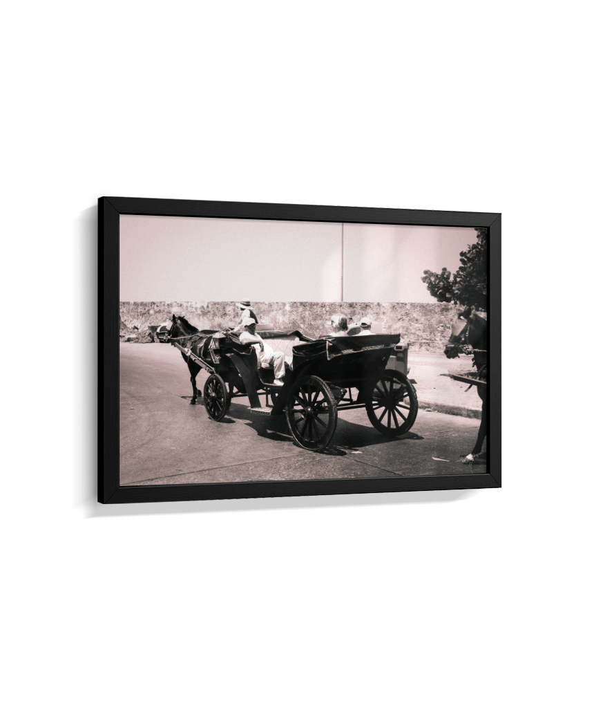 Carriage Through Time