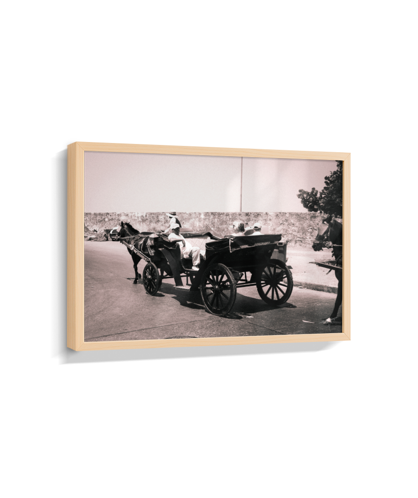 Carriage Through Time