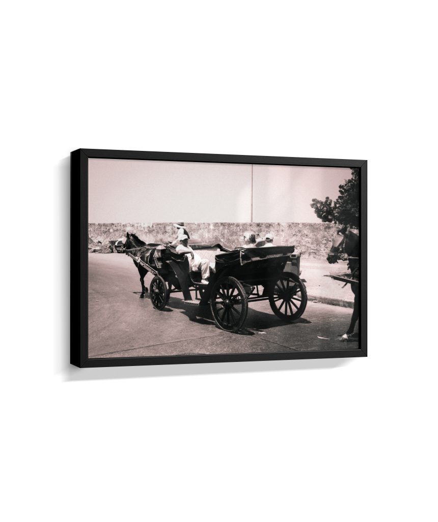 Carriage Through Time