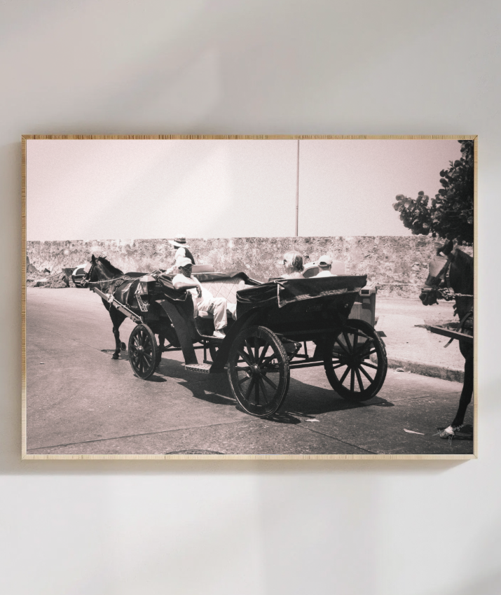 Carriage Through Time