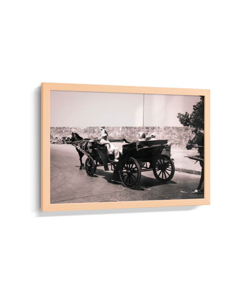 Carriage Through Time