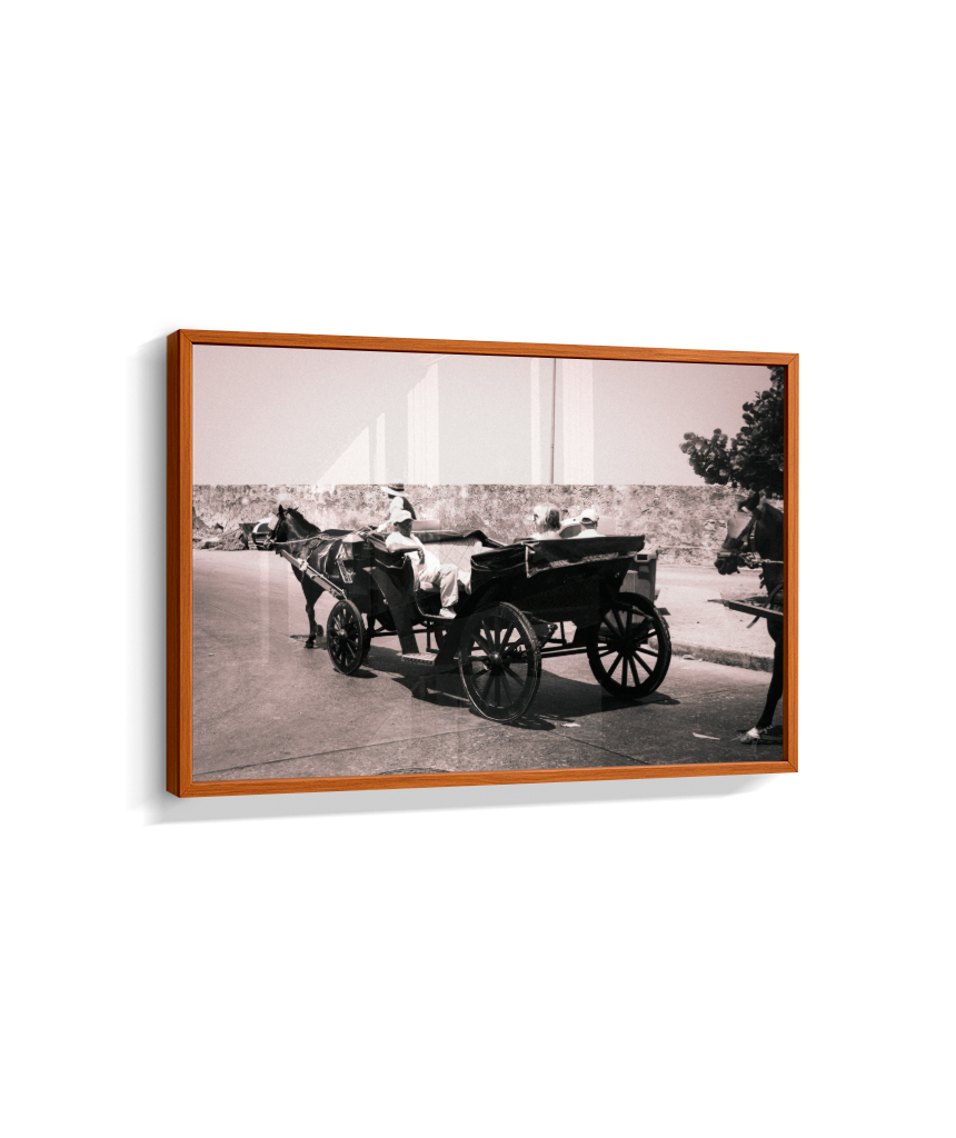 Carriage Through Time