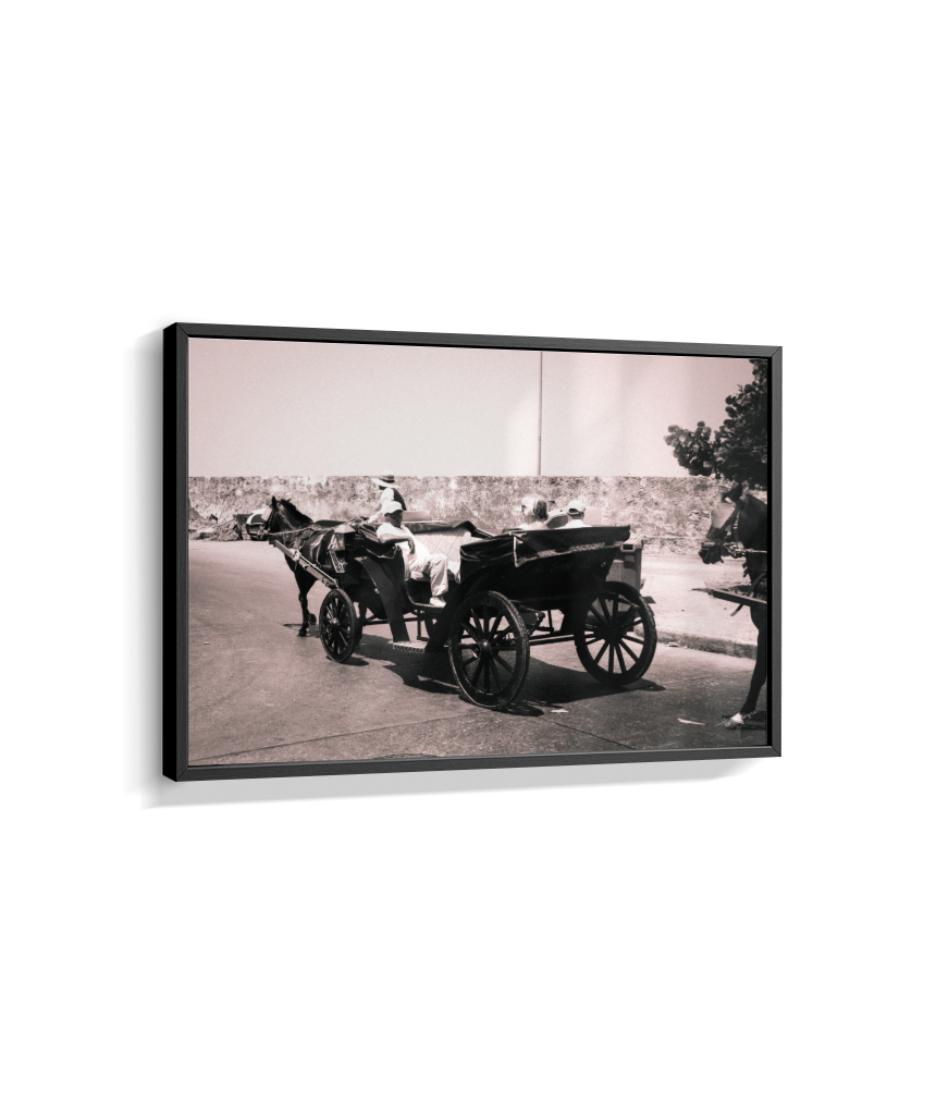 Carriage Through Time