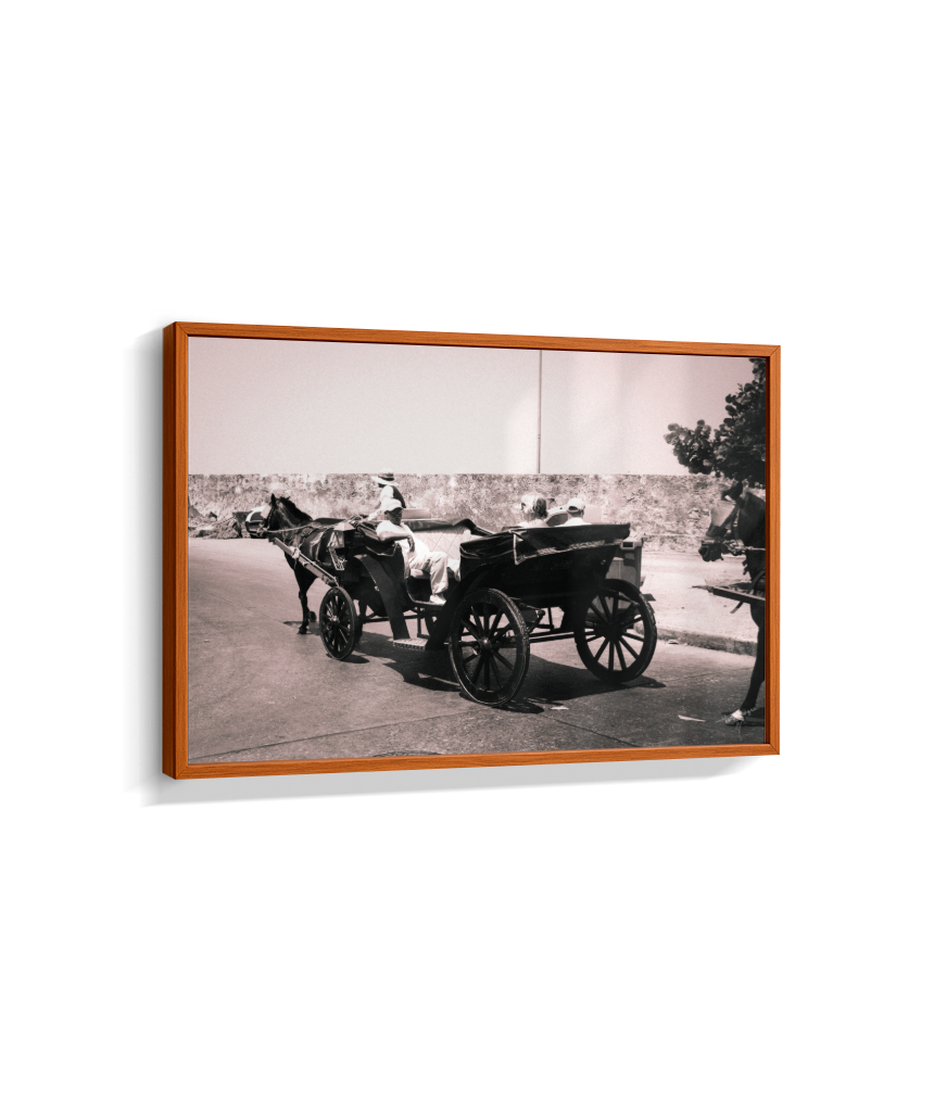 Carriage Through Time