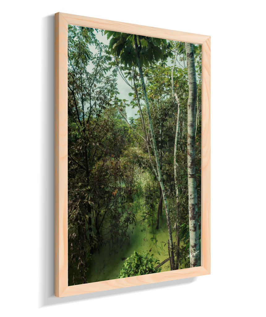 Hidden Wetlands