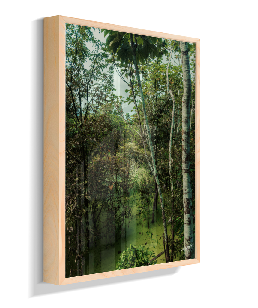 Hidden Wetlands