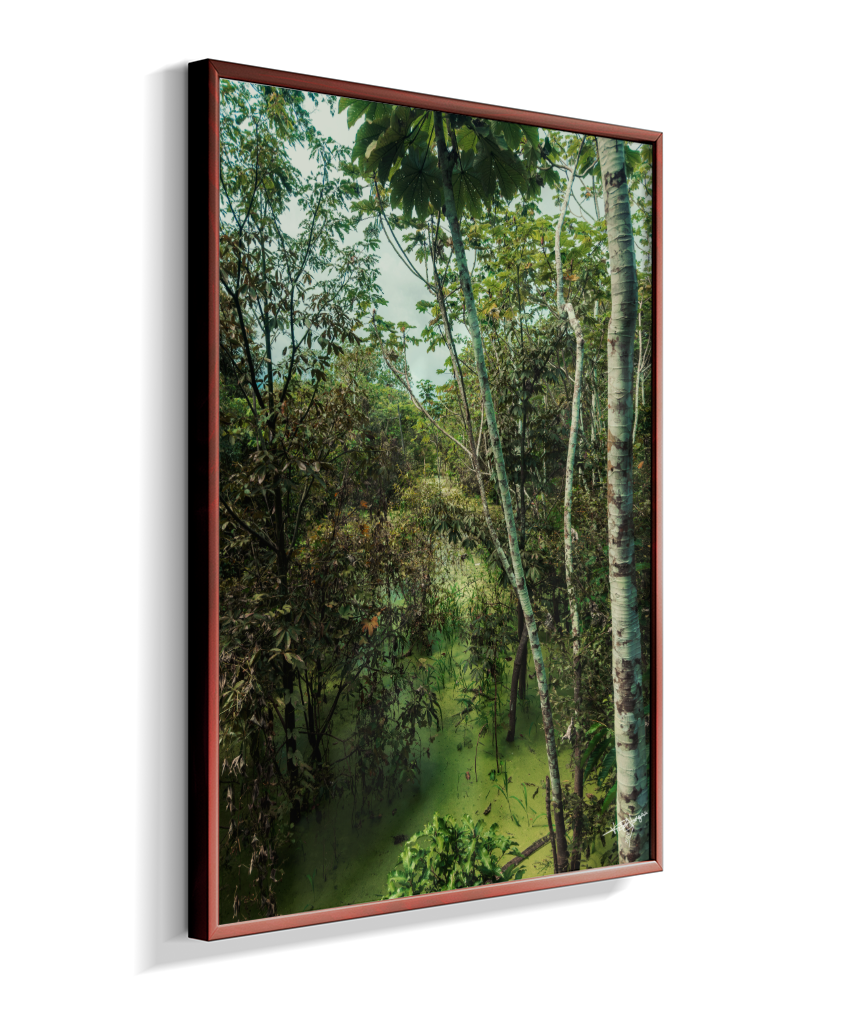 Hidden Wetlands