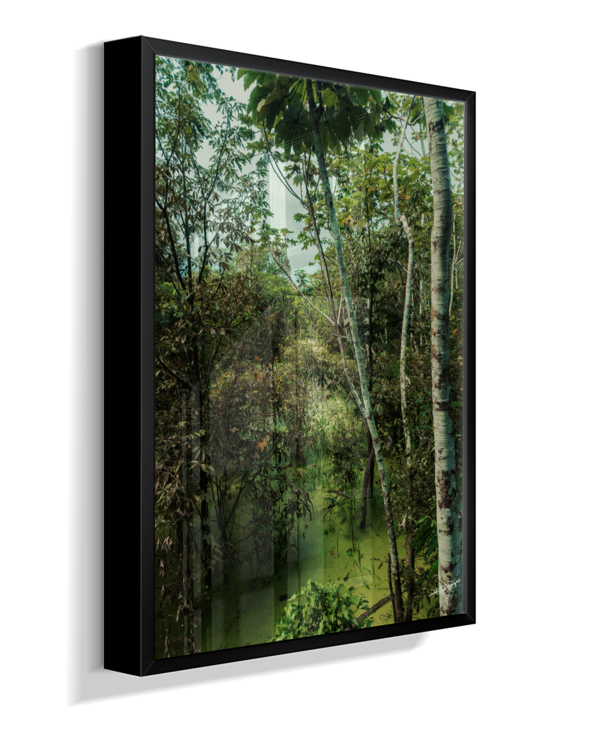Hidden Wetlands