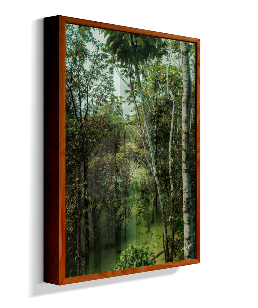Hidden Wetlands