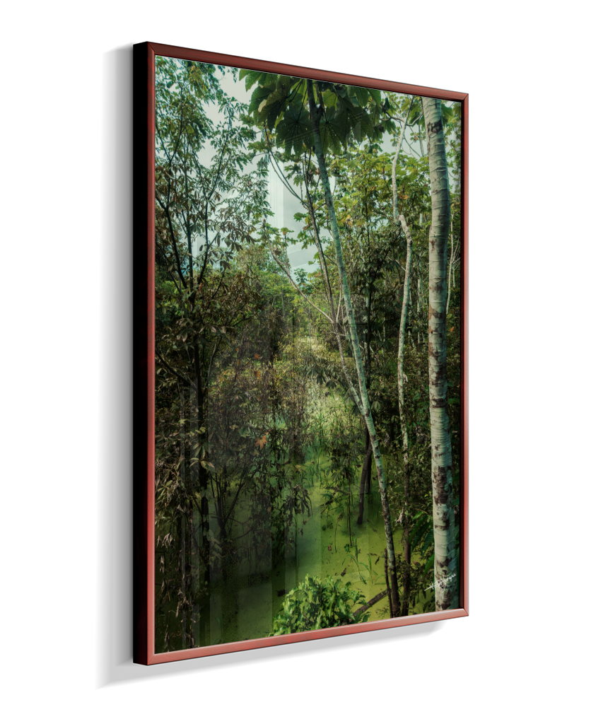 Hidden Wetlands