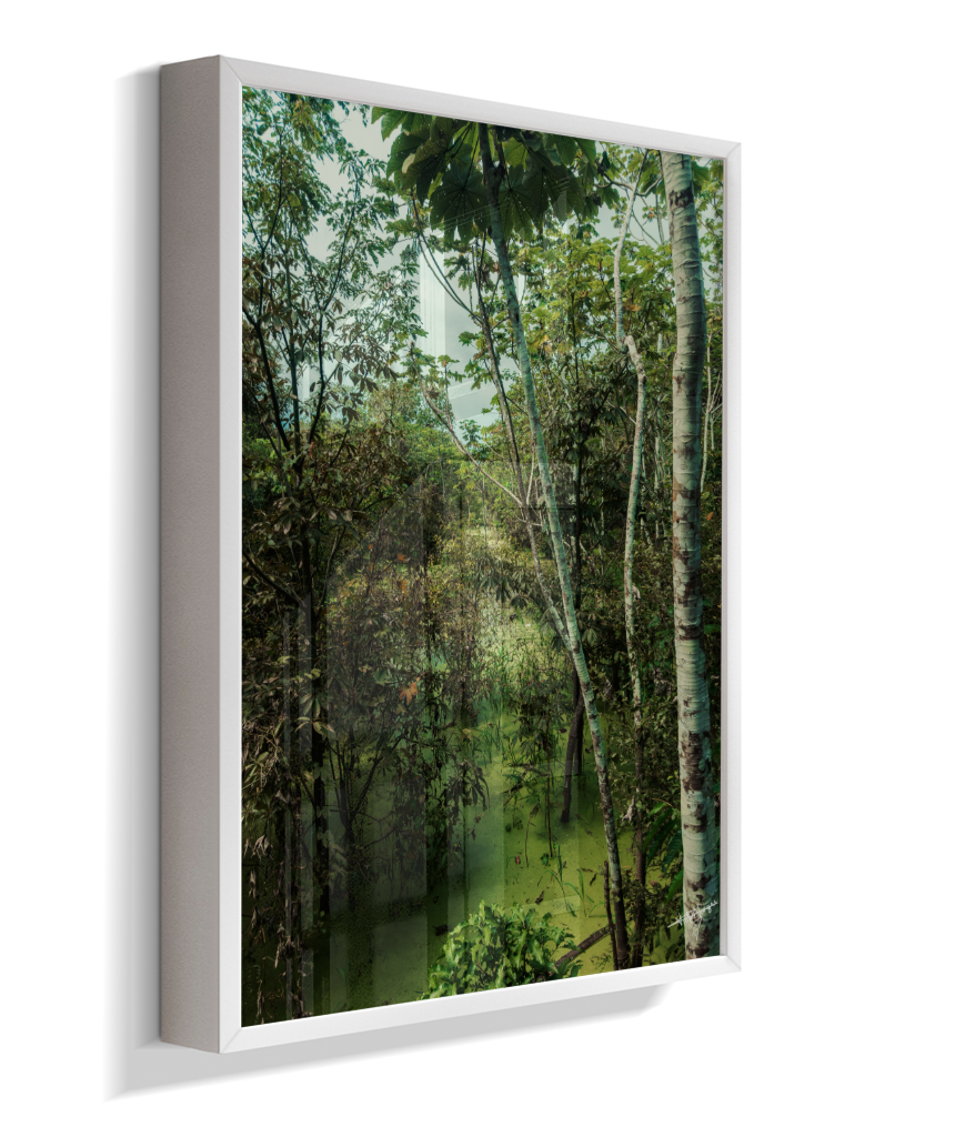 Hidden Wetlands