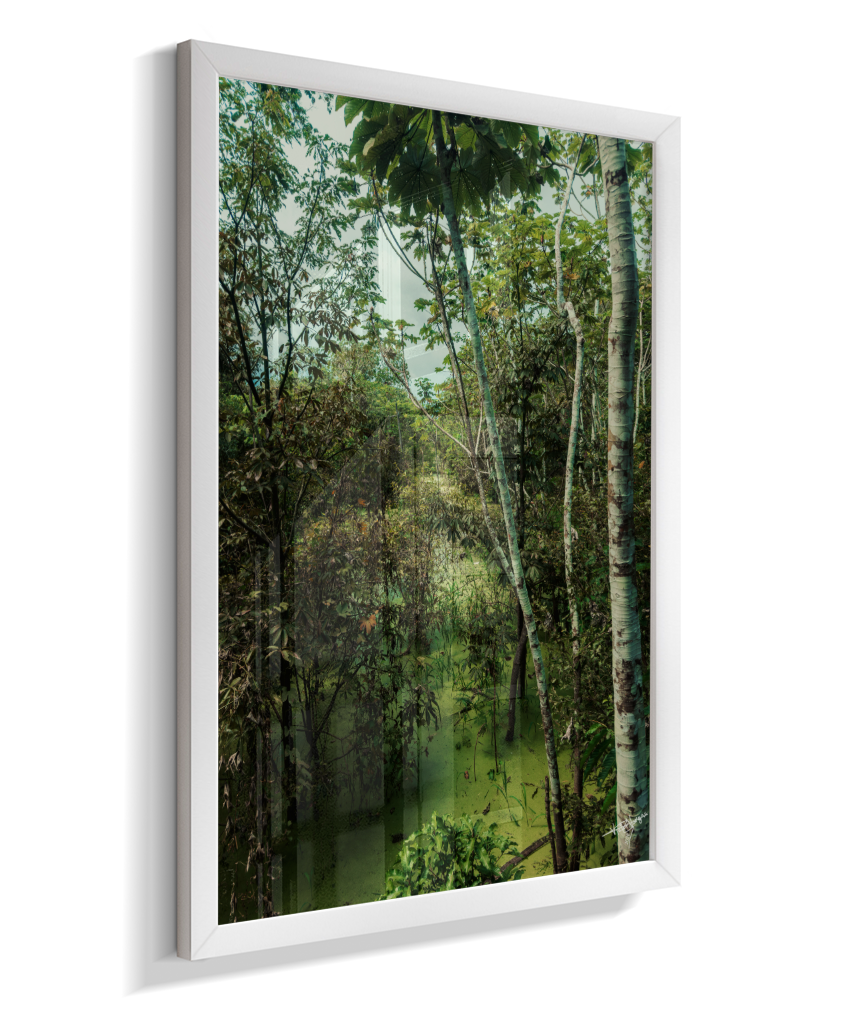 Hidden Wetlands