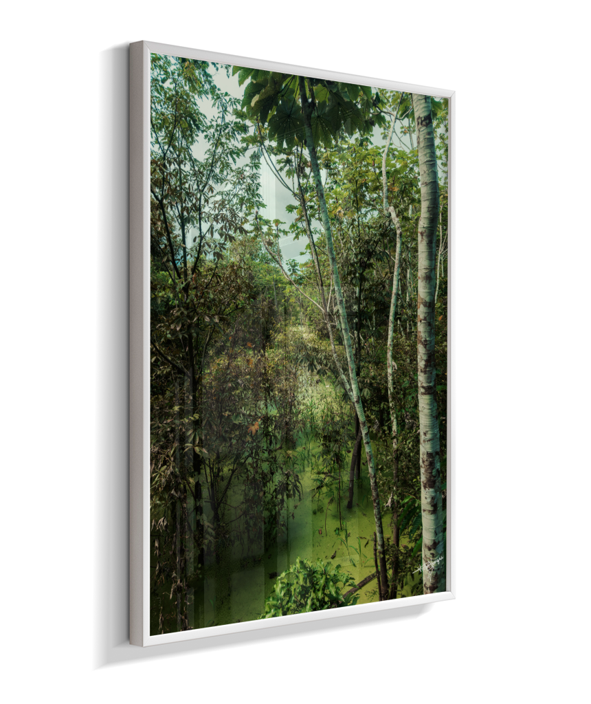 Hidden Wetlands