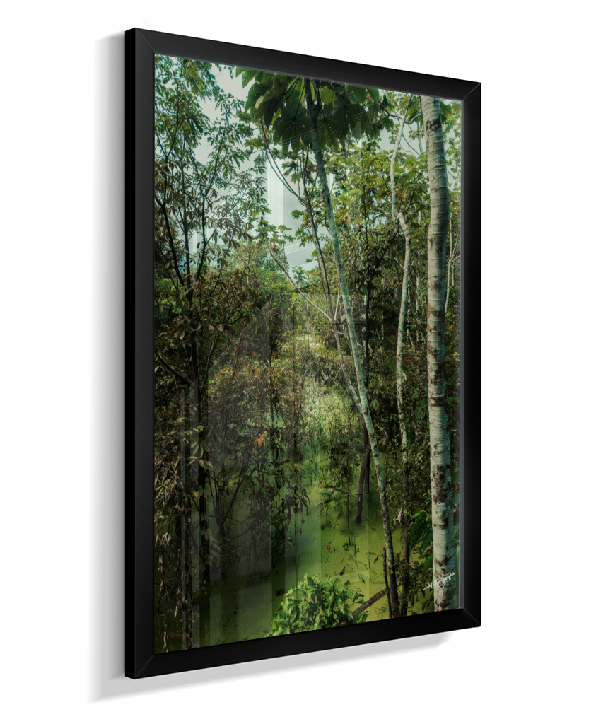 Hidden Wetlands
