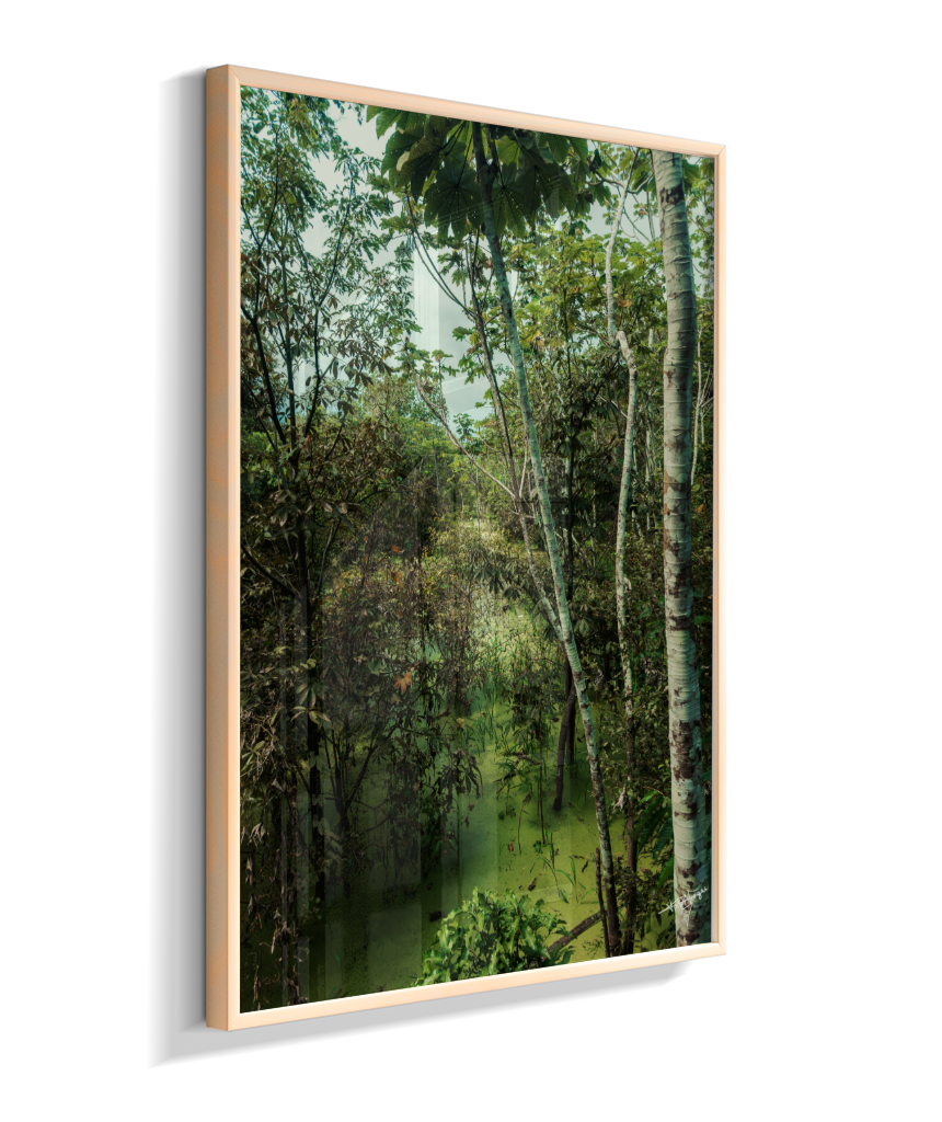 Hidden Wetlands