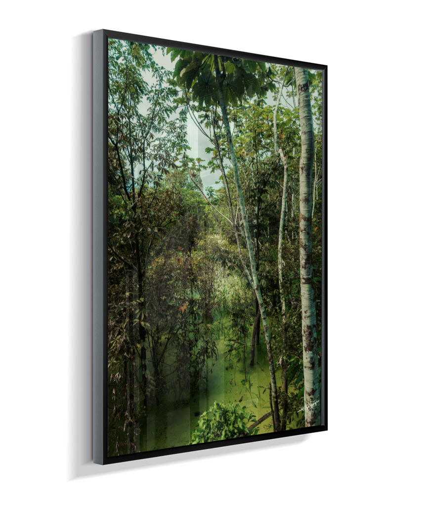 Hidden Wetlands