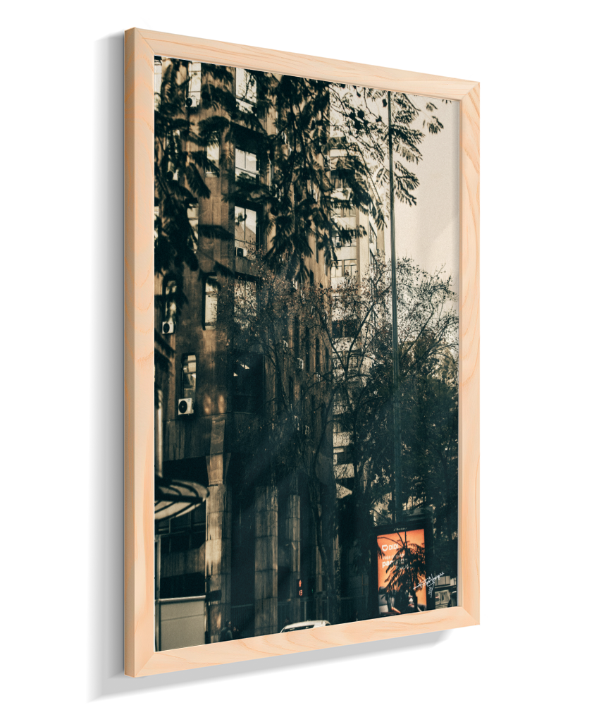 The City Behind the Leaves