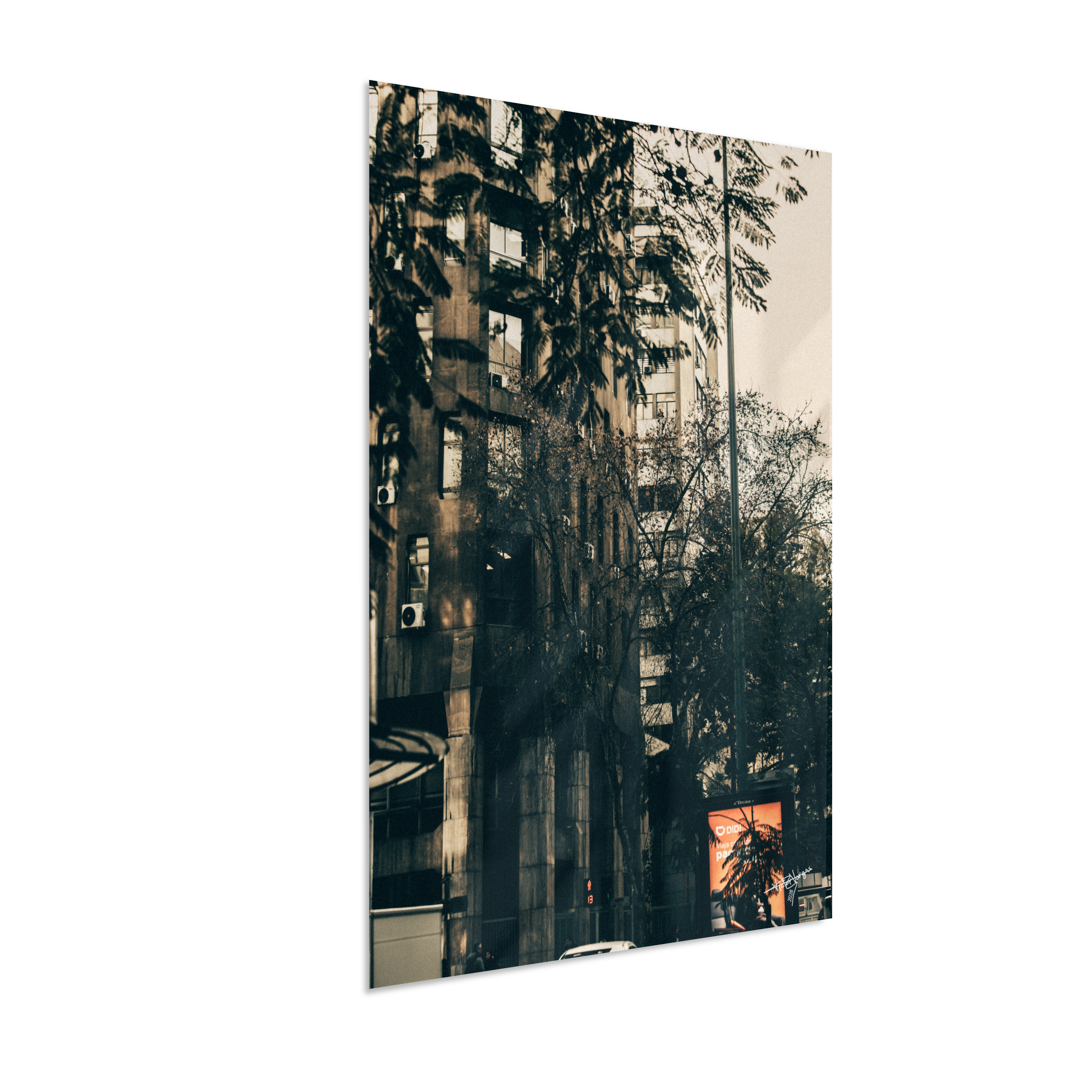 The City Behind the Leaves