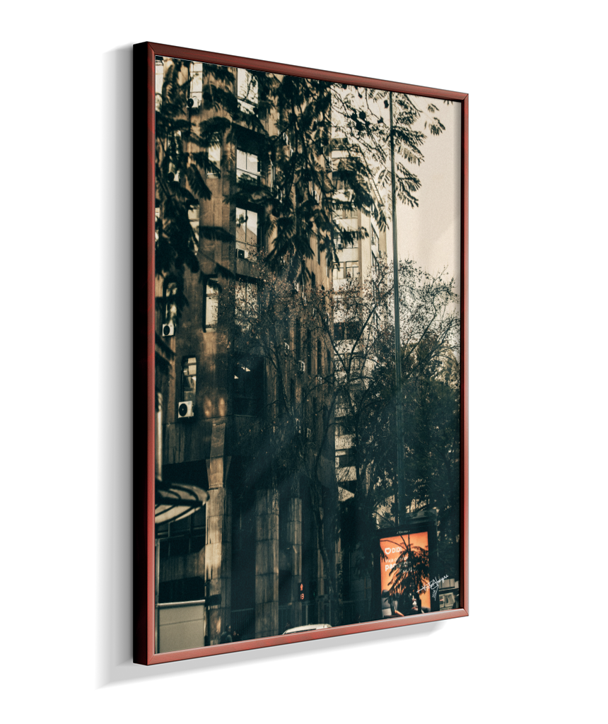 The City Behind the Leaves