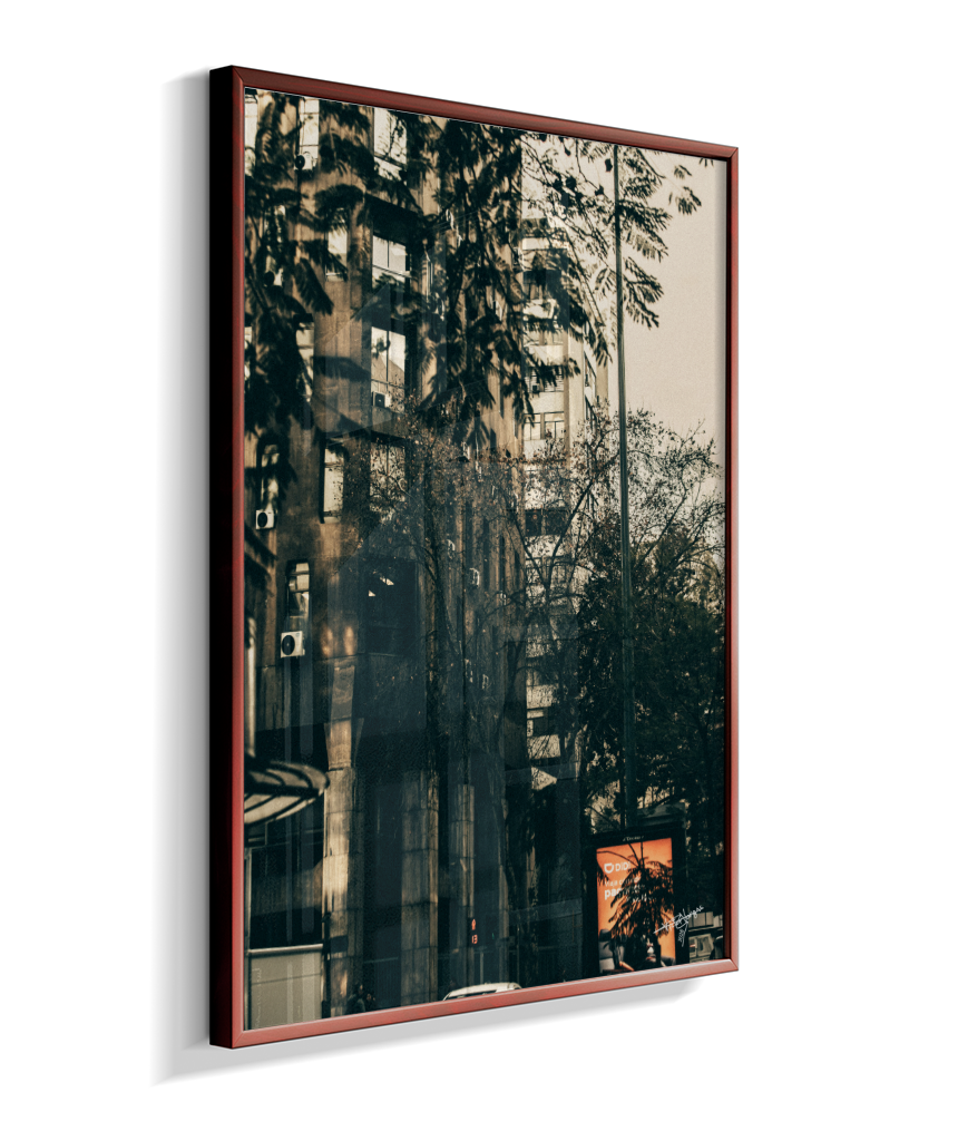 The City Behind the Leaves