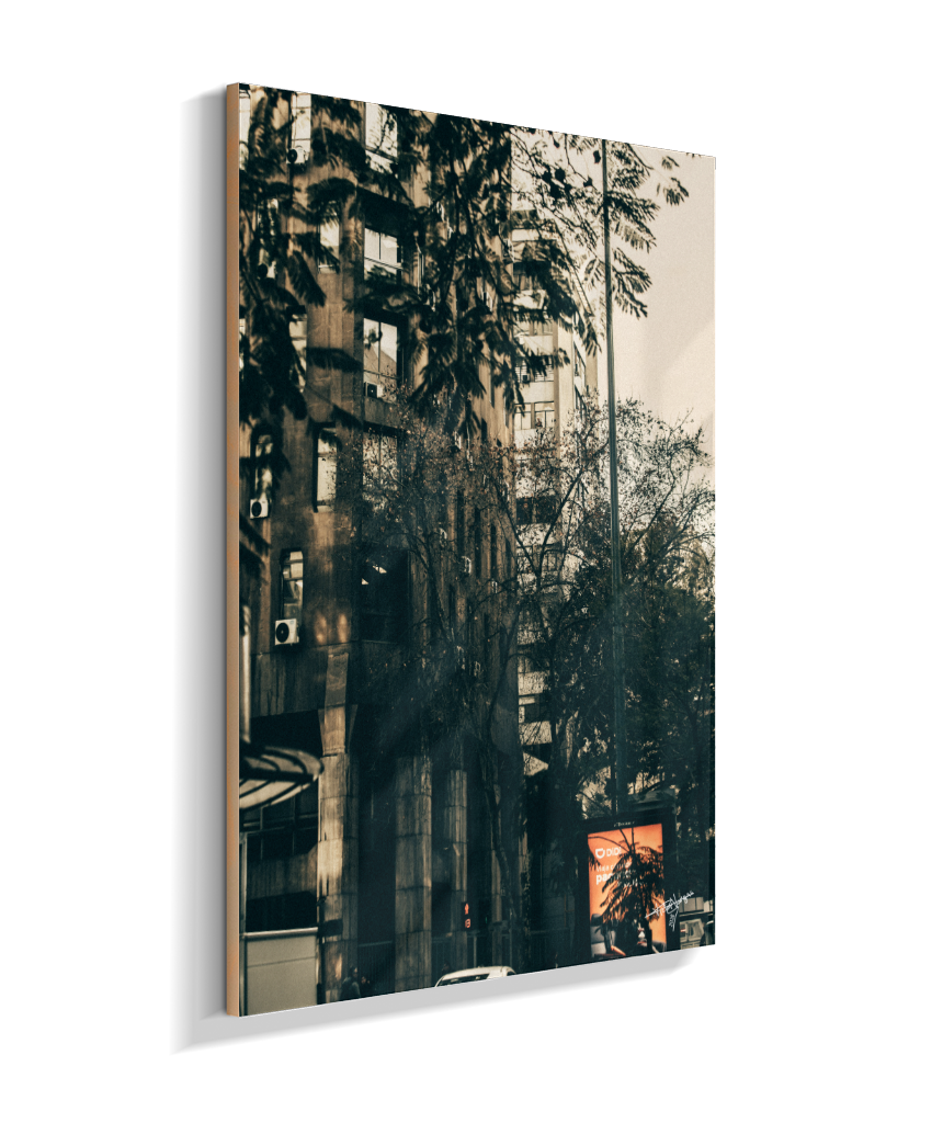 The City Behind the Leaves