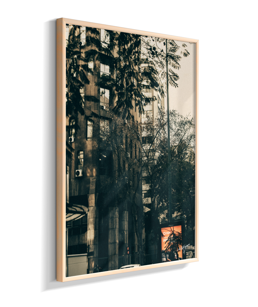 The City Behind the Leaves
