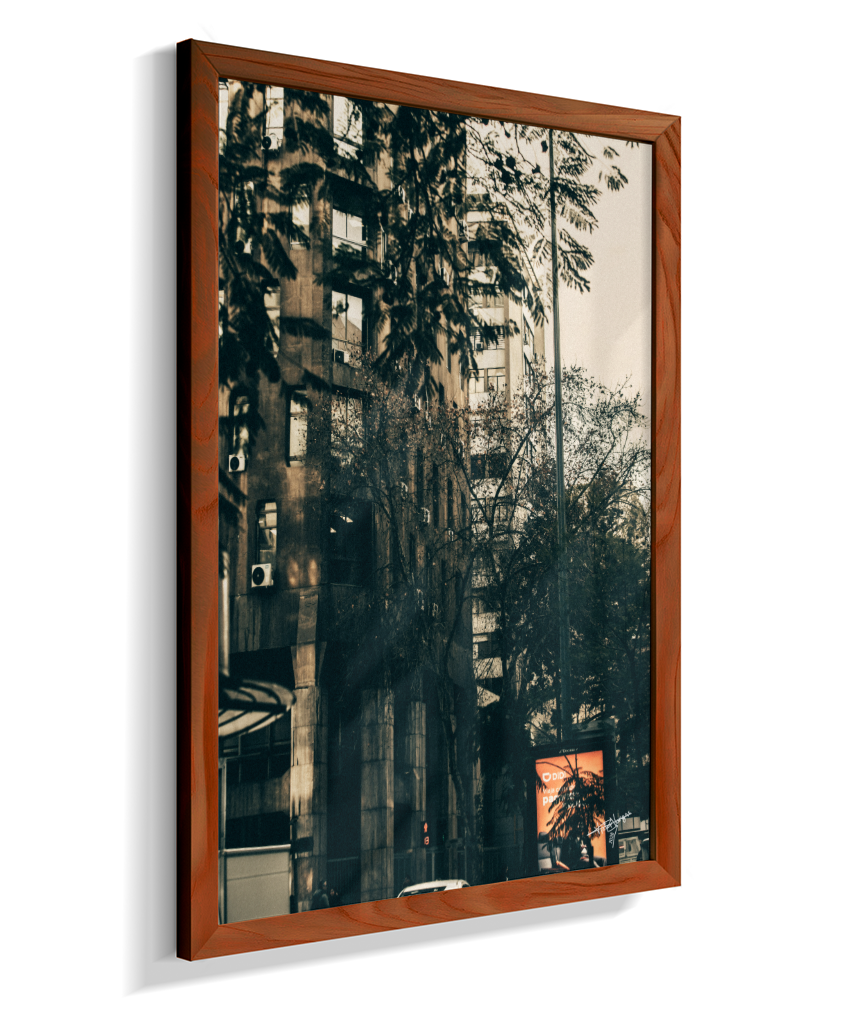 The City Behind the Leaves