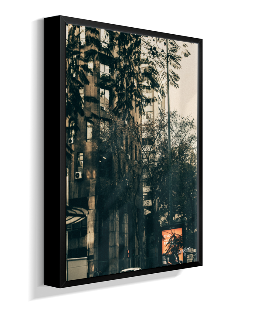 The City Behind the Leaves