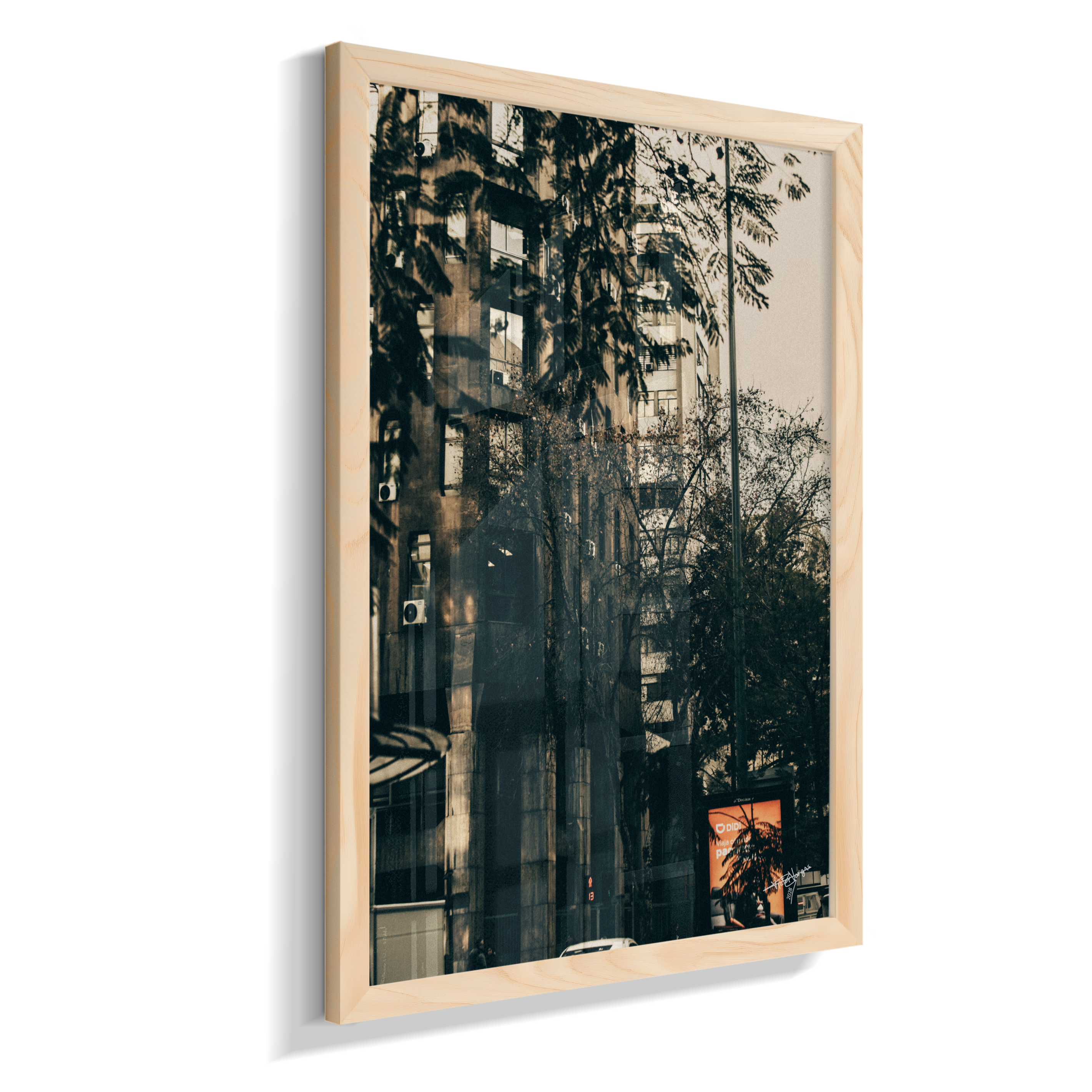 The City Behind the Leaves
