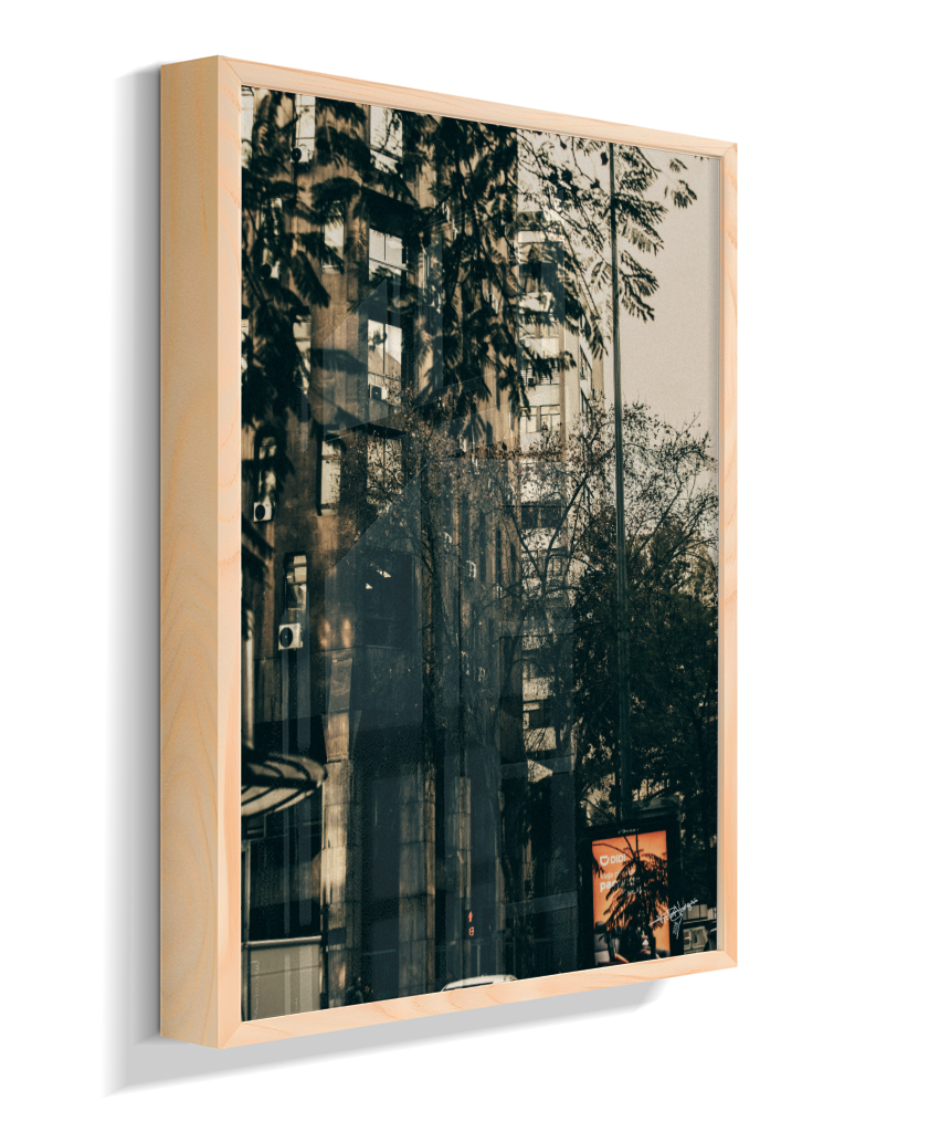 The City Behind the Leaves