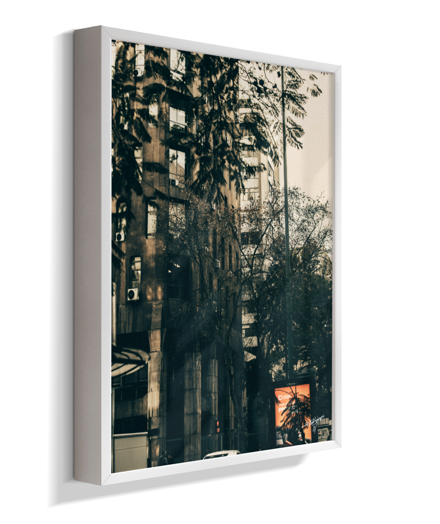 The City Behind the Leaves