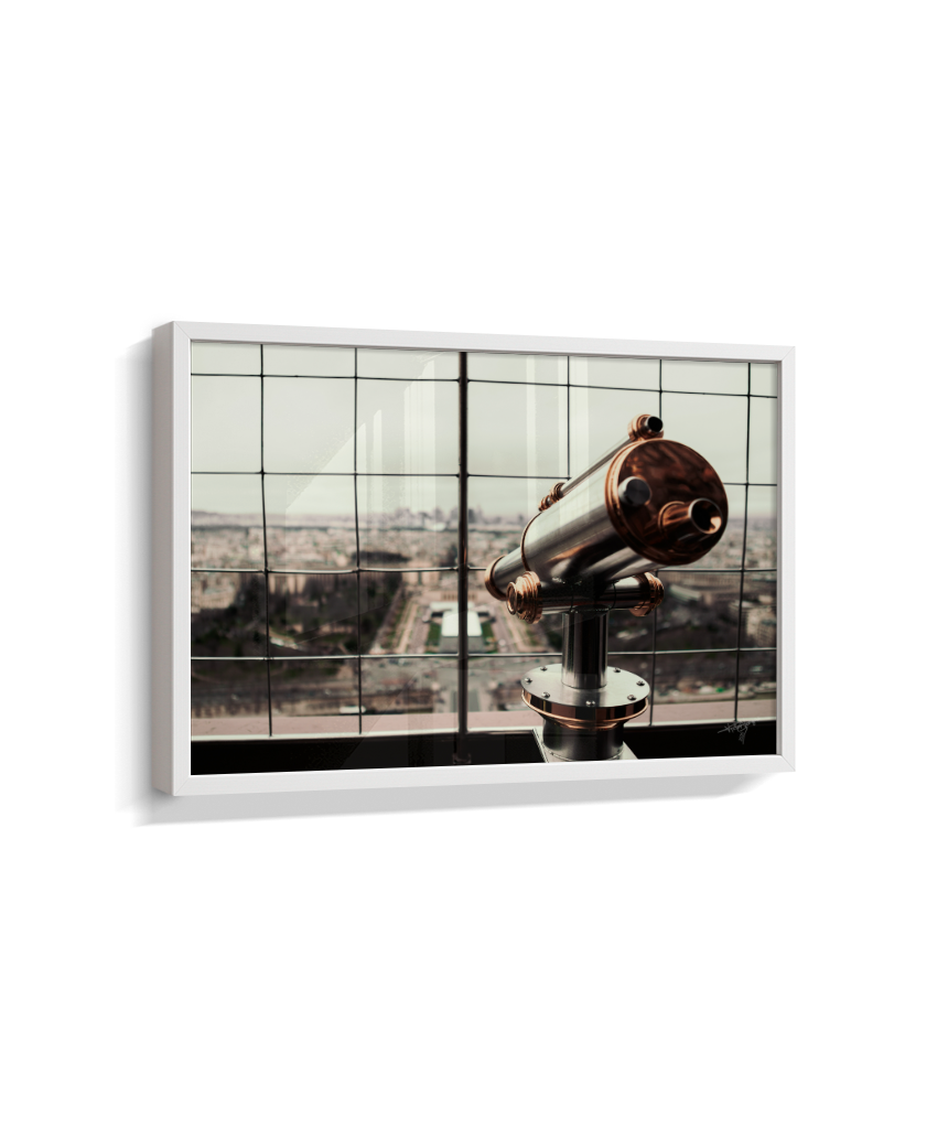 Looking Over Paris